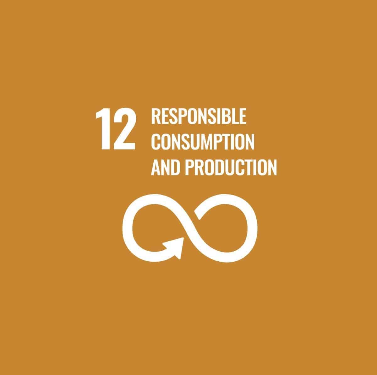 The United Nations Sustainable Development Goal 12